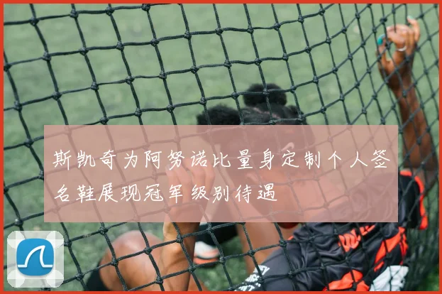 斯凯奇为阿努诺比量身定制个人签名鞋展现冠军级别待遇