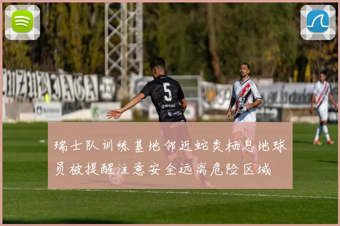 瑞士队训练基地邻近蛇类栖息地球员被提醒注意安全远离危险区域